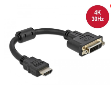 DisplayPort naar DVI kabel 20cm