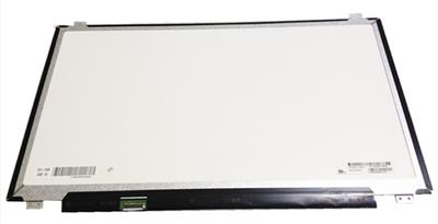 17.3" LED WUXGA (1920x1080) Full HD IPS Notebook Matte TFT Scherm EDP 30Pin with Dead pixels or Scratches