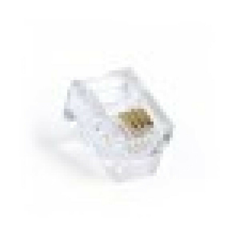 Cablexpert modular plug (100 pcs per polybag) (15u )